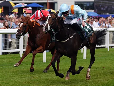Weatherbys Super Sprint Stats Guide