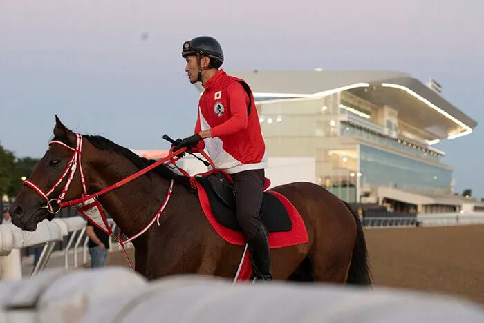 Forever Young at Belmont Forever Young at Belmont