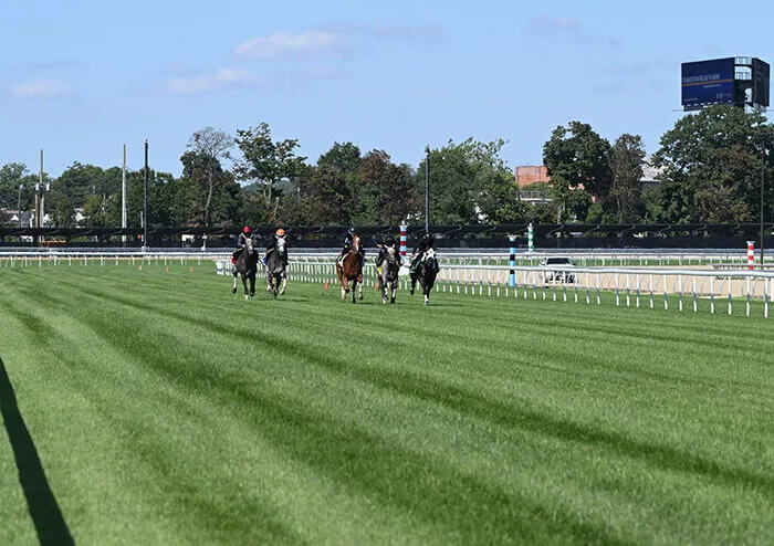 Belmont Park turf course Belmont Park turf course