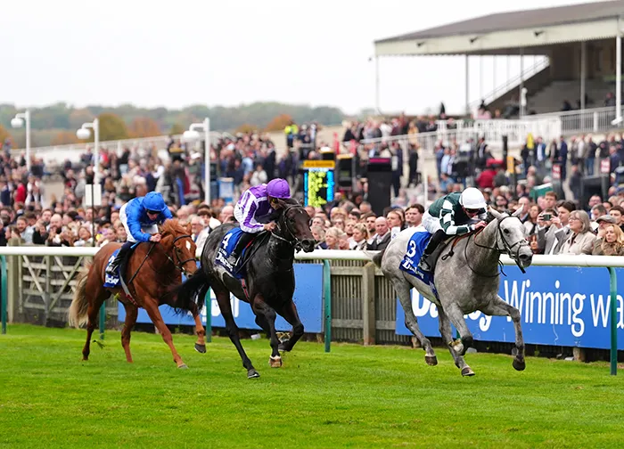 Gewan 2025 Dewhurst Stakes