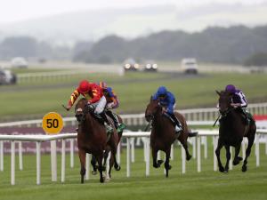 Image result for iridessa pretty polly