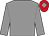 Grey, red cap, grey diamond (Mr M Deren)