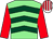 Light green, dark green chevrons, red sleeves, white and red striped cap (Mr P J Martin)