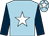 Light blue, white star, dark blue sleeves, light blue cap, white star (Alan & Andrew Turner)