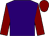 Purple, maroon sleeves and cap (The Sandylini Racing Partnership)