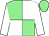 Light green and white (quartered), white sleeves, light green cap (Isl Recruitment)