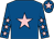Royal blue, pink star on body and cap, royal blue sleeves, pink stars (Mrs Jean R Bishop)