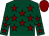 Dark green, maroon stars, maroon cap (Mr T P Radford)