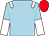 Light blue, white epaulets, halved sleeves, red cap (Foxtrot Nh Racing Syndicate)