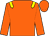 Orange, yellow epaulets (Ss Partnership)