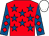 Red, royal blue stars, royal blue sleeves, red diamonds, white cap (Bill Hazeldean & V Vyner-brookes)