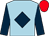 Light Blue, dark Blue diamond and sleeves, Red cap (Mme M Bryant)