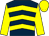 dark blue, yellow chevrons, yellow sleeves and cap (Ecurie Martial Gauvin)
