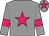 Grey body, rose star, grey arms, rose armlets, grey cap, rose star (Ecurie Louis D'aur)