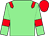 light green body, red epaulets, light green arms, red armlets, red cap (P Walter)
