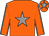 Orange body, grey star, orange arms, grey seams, orange cap, grey star (Henry/llorca/ S Valerio)