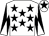 White, black stars, black and white diabolo on sleeves, white cap, black star (Black Star Racing)
