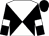 White and black diagonal quarters, white bars on black sleeves, black cap (Main Line Racing Stable)