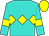 Turquoise, yellow triple diamond, yellow armlets on turquoise sleeves, yellow cap (Three Diamonds Farm)