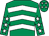 Emerald green & white chevrons, white stars on sleeves, emerald green cap, white stars (Maythehorsebewithyou Syndicate)