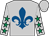 Silver,royal blue fleur de lys,emerald green stars on sleeves (Messrs W G Jackson, J A Habib, J M Kalil, G J Nass)