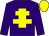 Purple, yellow cross of lorraine, yellow cap (Dr R Lambe & Dr J Climax)