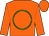 Orange, lime green circle, orange cap (There's A Chance Stable)