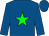 Royal blue, green star, green band on sleeves, royal blue cap (Just For Fun Stable LLC)