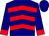 Navy blue, red chevrons, red cuffs, navy blue cap (Mooney, Ed And Patterson, Bruce)