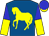 Royal blue, yellow horse, blue and yellow halved sleeves, blue cap, yellow visor (Victory Racing Partners)