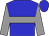 Blue, Grey hoop, Grey Sleeves, Blue Cap (Anita Racing Stable)