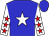 Blue, white star, red stars on white sleeves, blue cap (Dale Hagedorn)