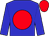 Blue, red disc, red cap (Bg Stables)