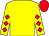 Yellow, red diamonds on yellow sleeves, red cap (Biggleague Racing, Llc)