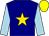 Navy blue, gold star, light blue sleeves, yellow cap (Schroeder Farms Llc)