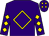 Purple, gold diamond frame, gold diamonds on sleeves, gold diamonds on purple cap (C R K Stable Llc)